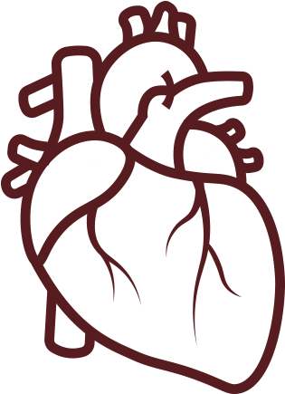 Illustration Of A Heart - Coronary Artery Disease Icon (553x440), Png Download