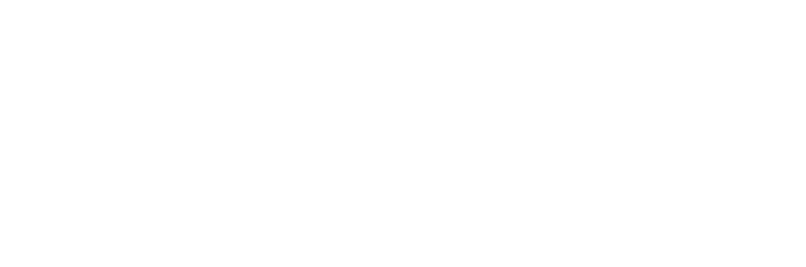 Dolly Logo Ko - Close Icon White Png (1000x313), Png Download