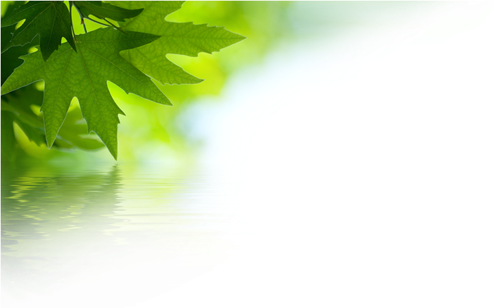 44 Pm 248959 Drnuke Overlay Topcorner 02 9/30/2016 - Green Leaves (718x469), Png Download