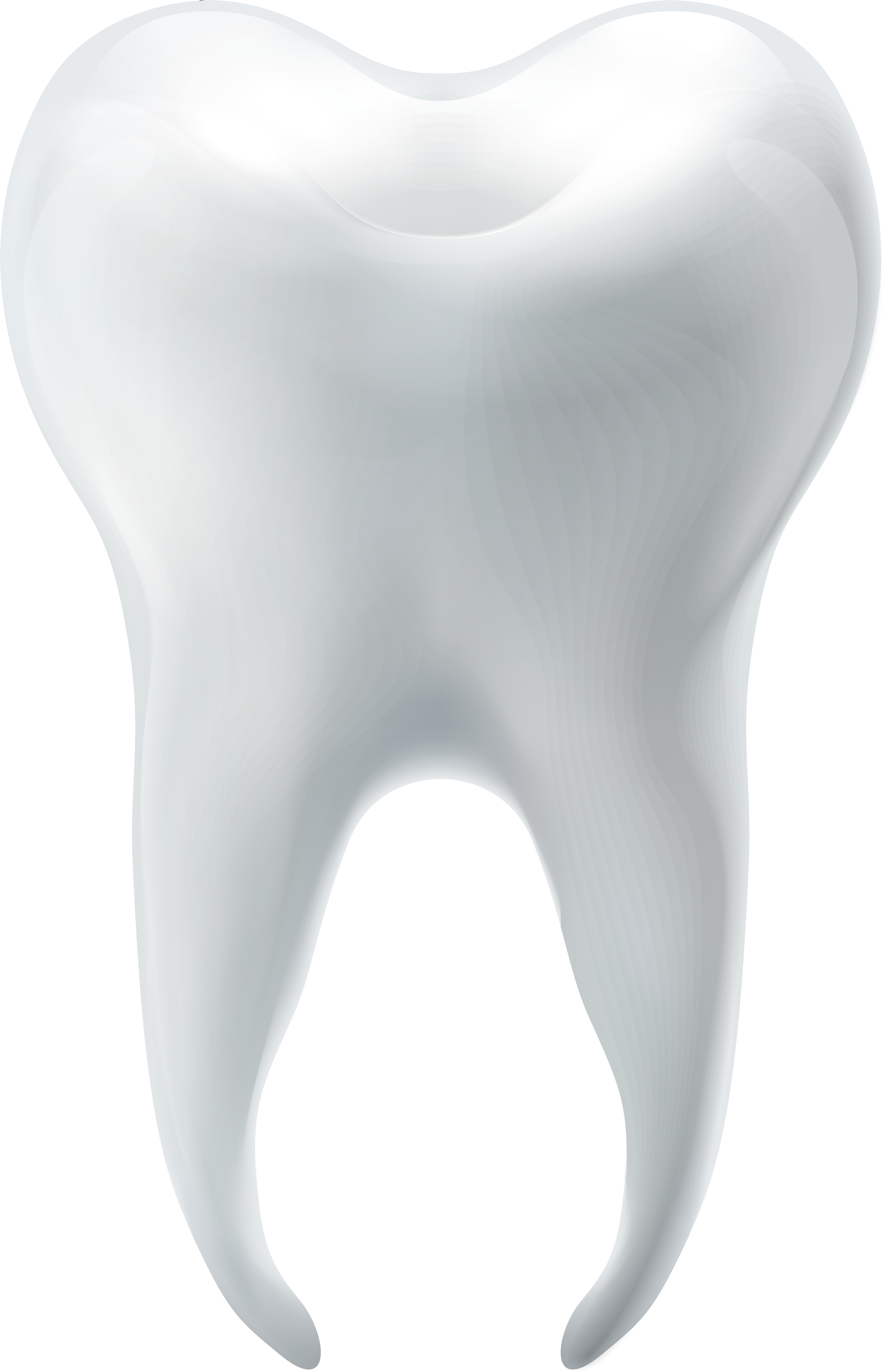 Molar Tooth Png Clip Art - Portable Network Graphics (5152x8000), Png Download