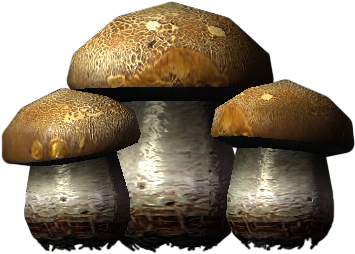 Sr Icon Ingredient Imp Stool - Portable Network Graphics (354x354), Png Download