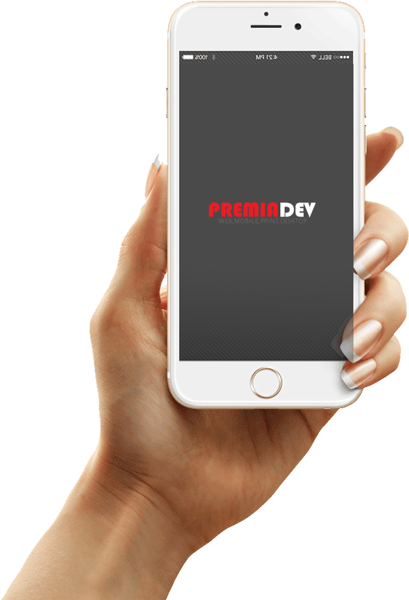 Flex Iphone6 Hand Frontview 2 - Ip Camera (720x1000), Png Download
