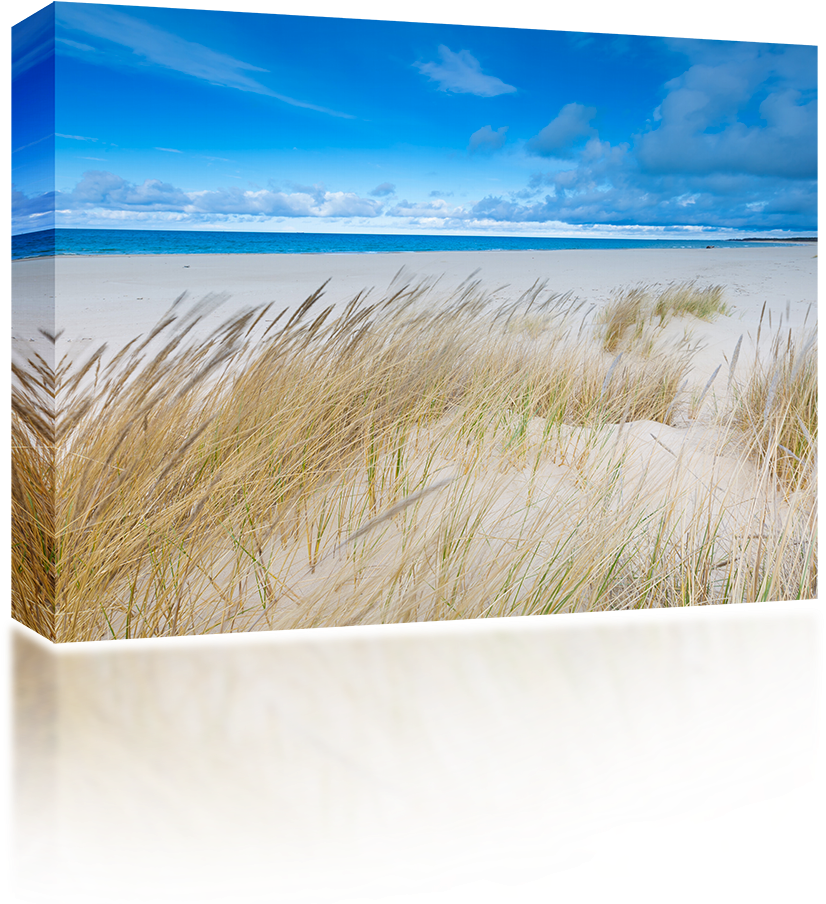 Wild Grass Sea Shore - Wireless Speaker (1024x1024), Png Download