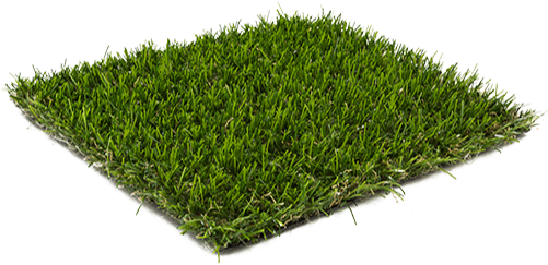 Lawn-grass - Lawn (500x313), Png Download
