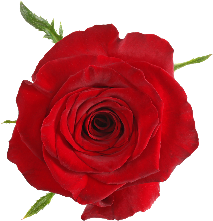 Available Stem Size - Red Items (1024x1024), Png Download