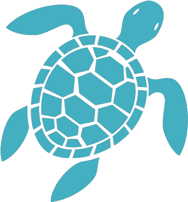 Great Pricing - Sea Turtle Icon Png (400x414), Png Download