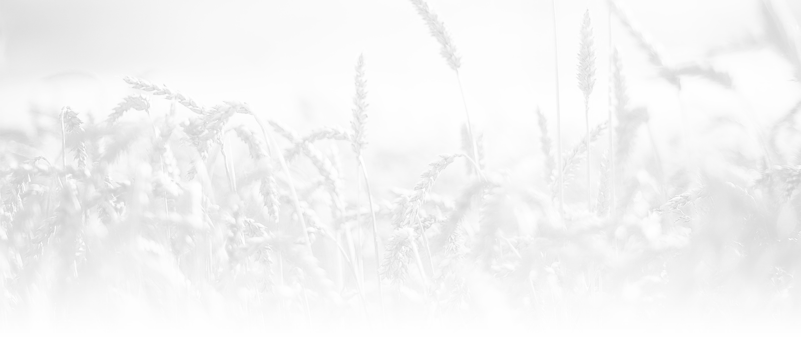 27 Jun 2017 - After A Hard Day On The Farm (1600x673), Png Download