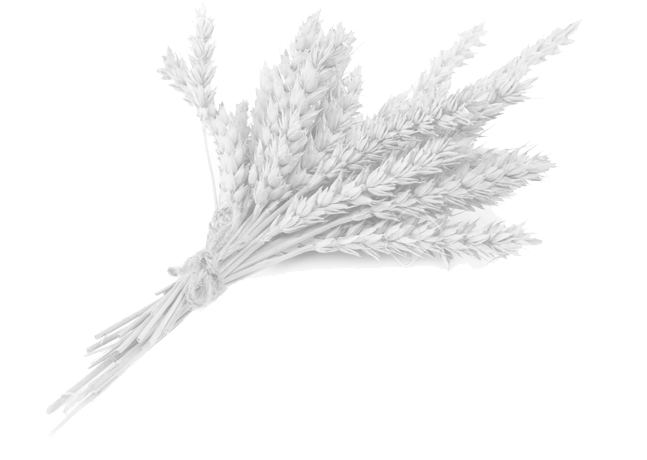 Footer Ccards 27 Jun 2017 - Wheat (647x460), Png Download