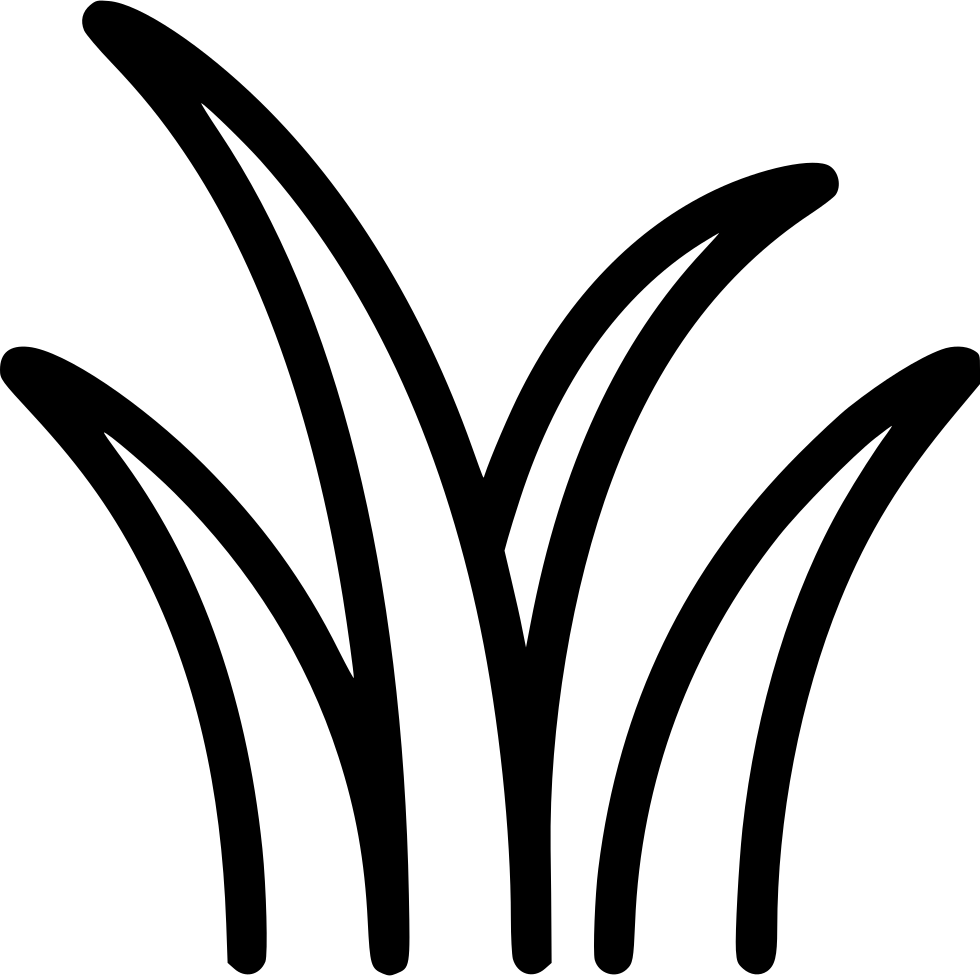 Grass Comments - Icon Grass Png (980x976), Png Download