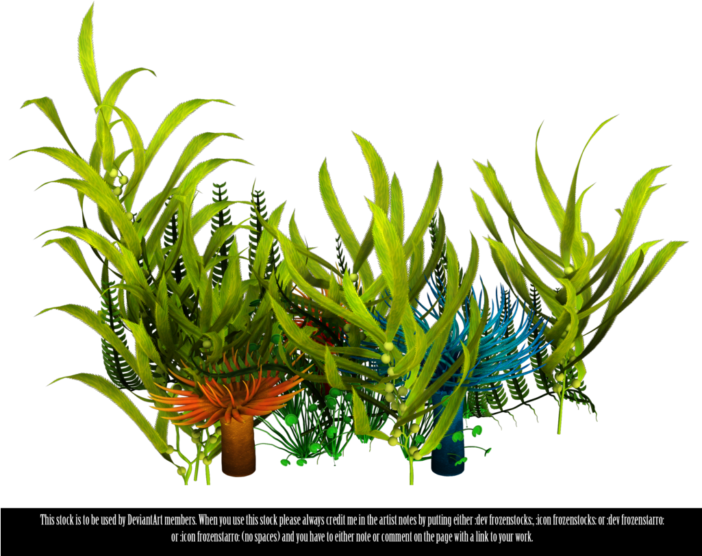 Sea Grass Clipart Underwate Plant - Under Water Plants Png (1024x819), Png Download