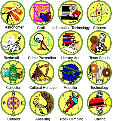 The Links Below Outline The Requirements For Many Of - Scouting (395x415), Png Download