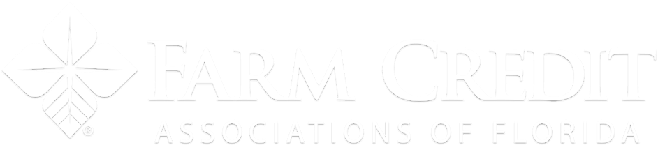 Farm Credit Of Florida - Snow Peak Logo (1000x215), Png Download