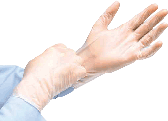 Cardinal Health Instagard Vinyl Exam Gloves - Cardinal Health Instagard Vinyl Exam Gloves, Small, (350x350), Png Download
