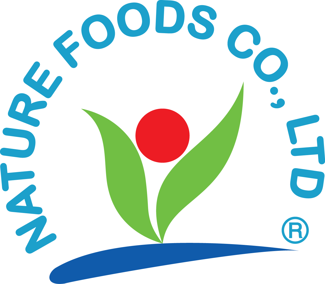 Founded On December 22, 2002 And Factory Practically - World Of Smiles Academy (1262x1104), Png Download