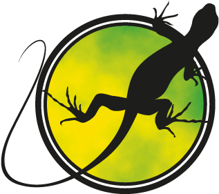 Iguana Icono Png (400x400), Png Download