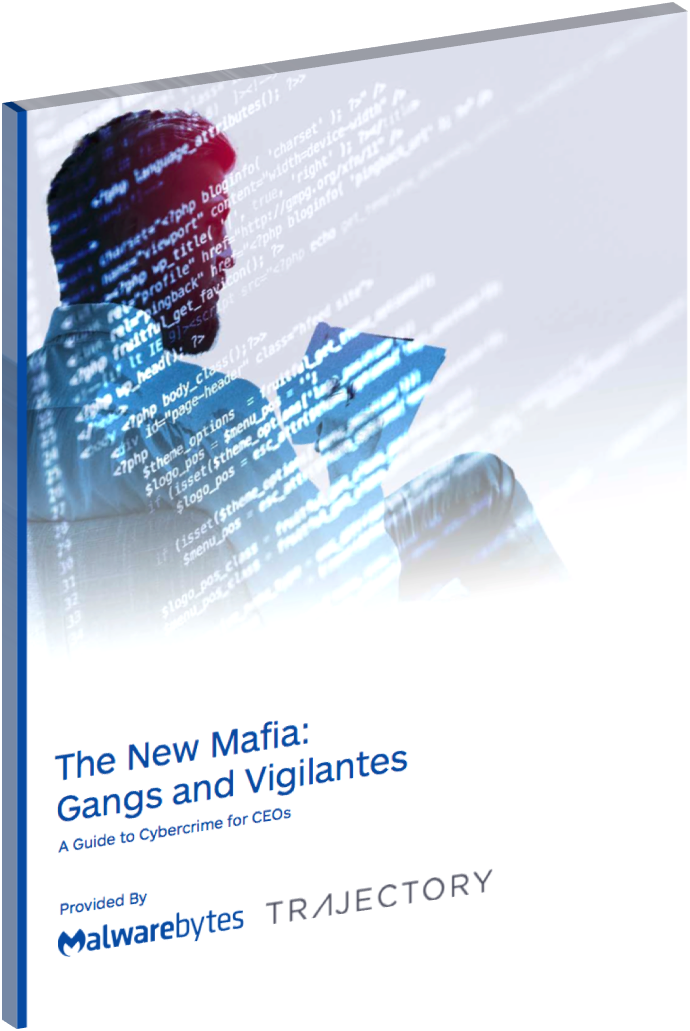 Read The Full Report - Online Advertising (690x1031), Png Download