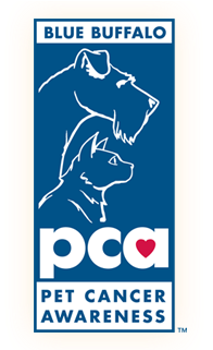 blue buffalo foundation