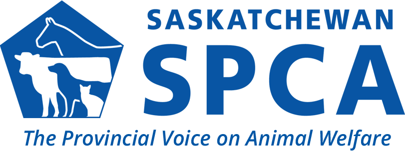 Animal Abuse Against Societies (811x303), Png Download