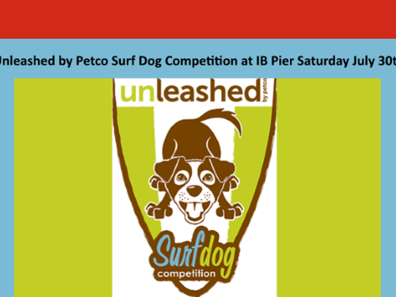 Download Unleashed By Petco Surf Dog Competition At Ib Pier Unleashed