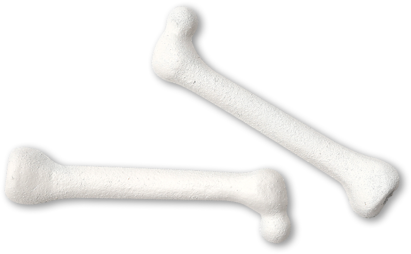 So Vitamin D Works Hand In Hand With Other Nutrients - Phosphorus Bones (850x544), Png Download