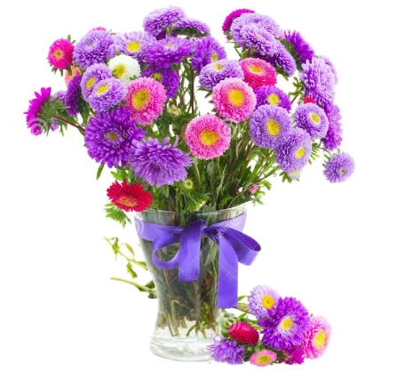 Aster Png Pic - Bouquet Of Aster Flower Png (469x416), Png Download