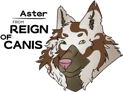 Aster From Reign Of Canis By Mästerpiece - Aster (484x369), Png Download