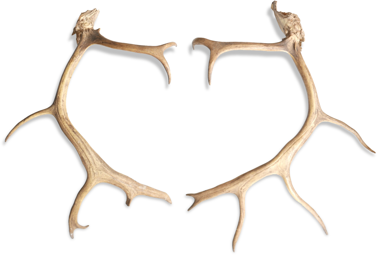Wood (1457x1457), Png Download
