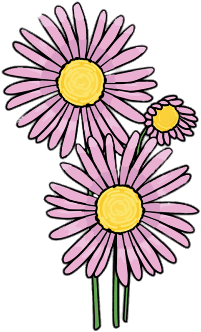 Pink Aster Clipart - Aptoide (665x665), Png Download
