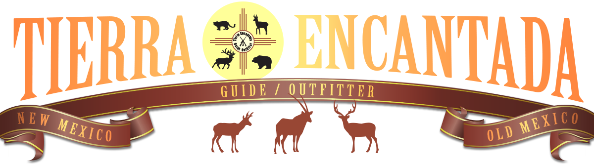 Elk (1200x334), Png Download