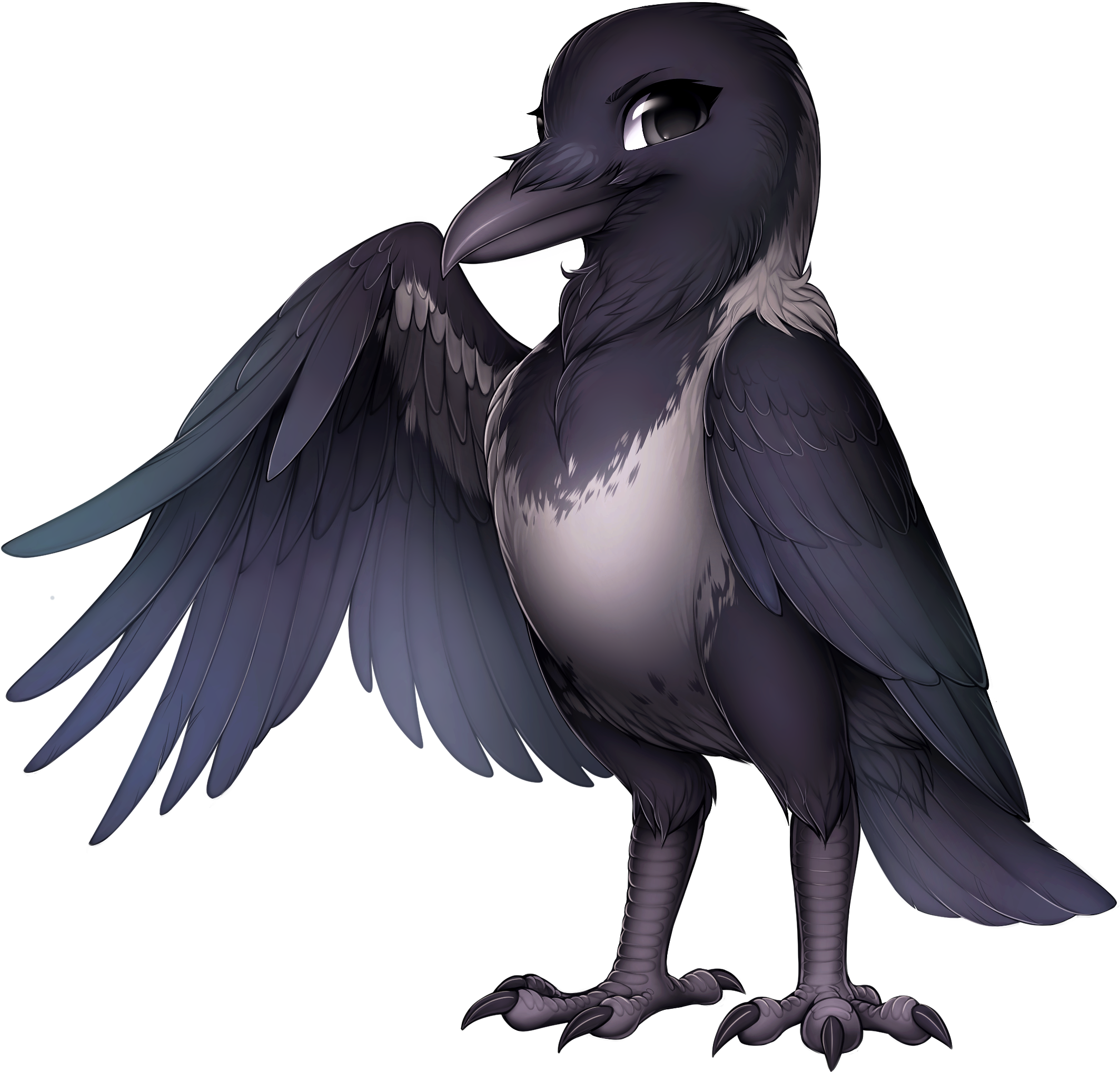 Corvid Hooded Crow - Magpie Furvilla (516x480), Png Download