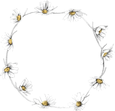 Spiritual Mystical Nature Here Tumblr Daisies Transparent - I D Rather Wear Flowers In My Hair Than Diamonds Around (500x500), Png Download