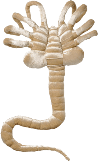 1 Of - Facehugger Plush (600x600), Png Download