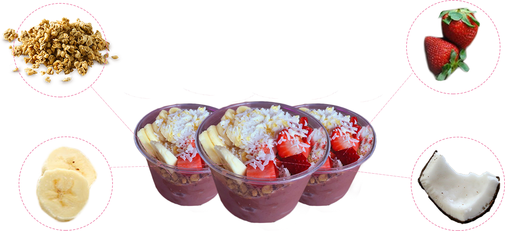 The Science And Art Of Handcrafting Healthy And Delicious - Bowlology (1651x755), Png Download