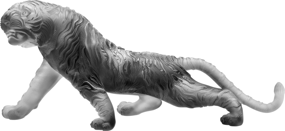 Tigre Du Bengale Magnum Gris 88 Exemplaires 03447-4 (1000x461), Png Download