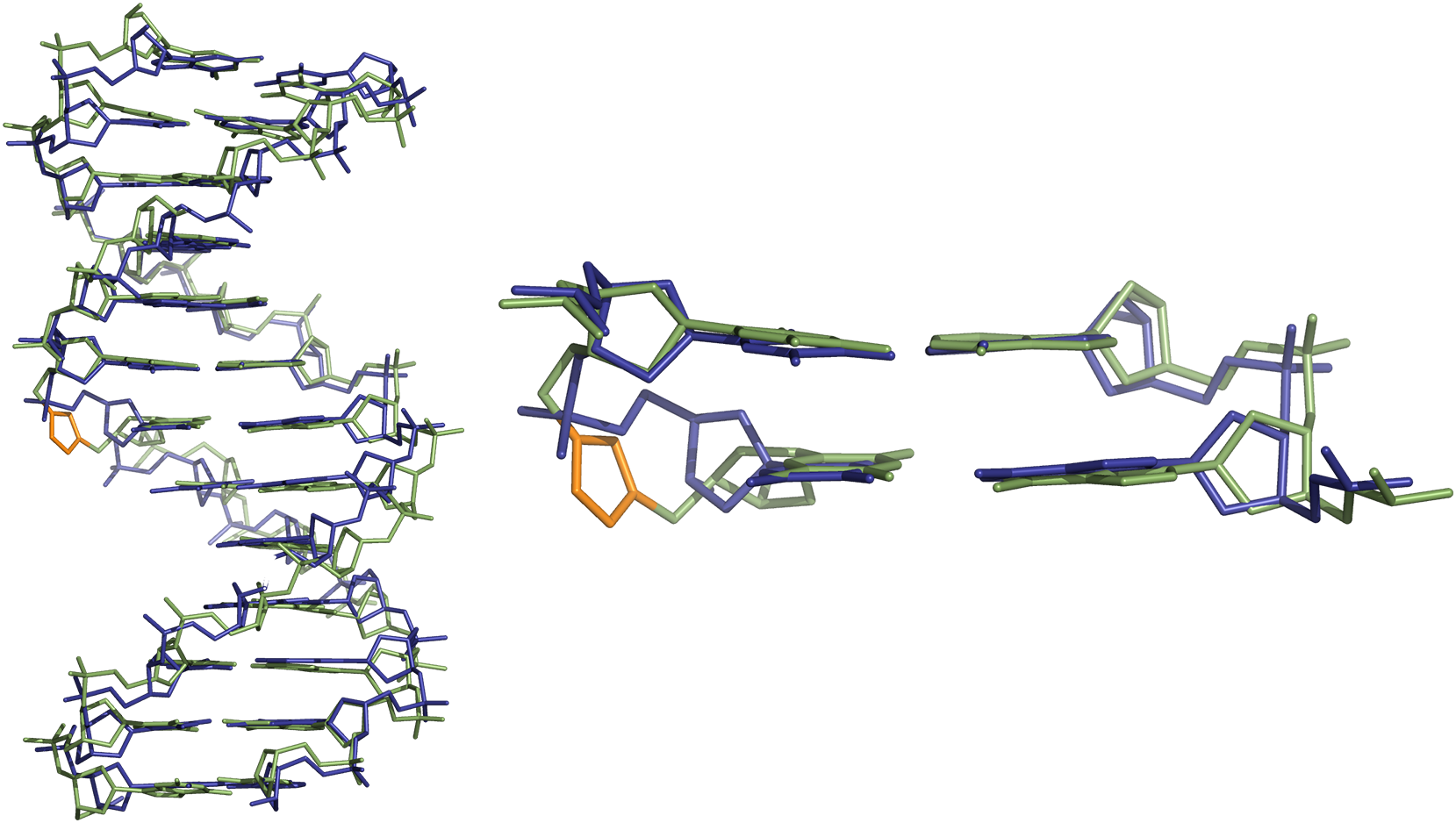 Comparison Of Three Dimensional Structures Of Triazole - Dna Three Dimensional Structure (1659x938), Png Download
