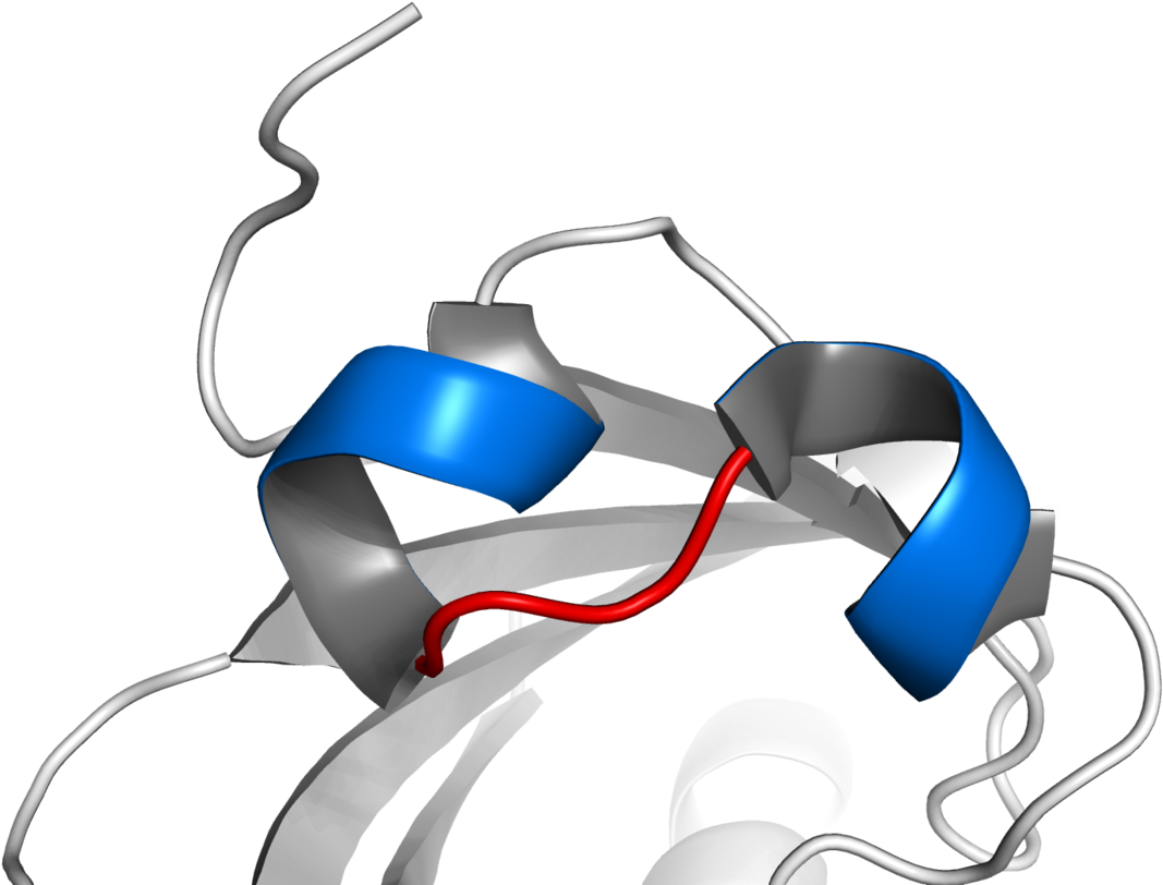 Hélice Volta Hélice (1200x878), Png Download