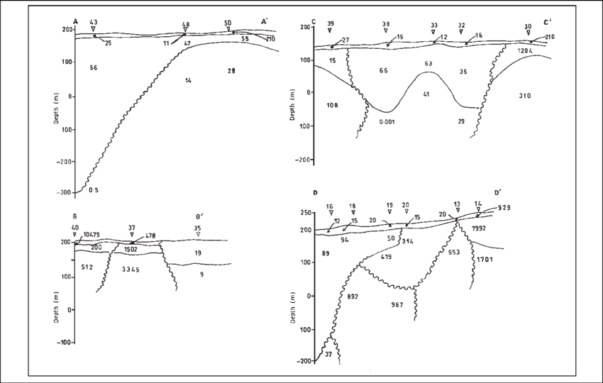 Electro-stratigrasphic Section Of Aa', Bb', Cc', And - Ohm (850x540), Png Download