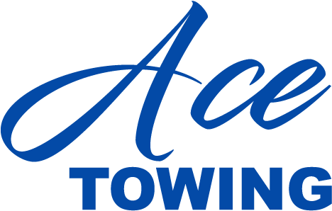 Acetowinglogo-500 Png - Ultras (500x333), Png Download