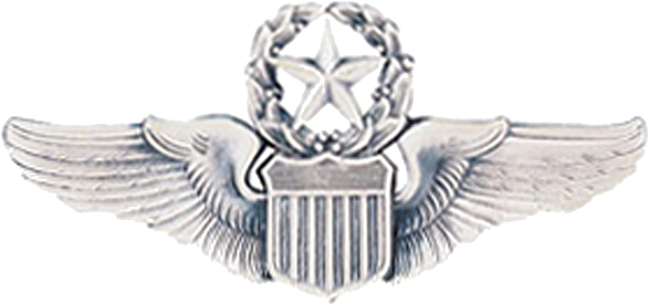 Command Pilot Wings - Command Pilot Wings Png (600x292), Png Download