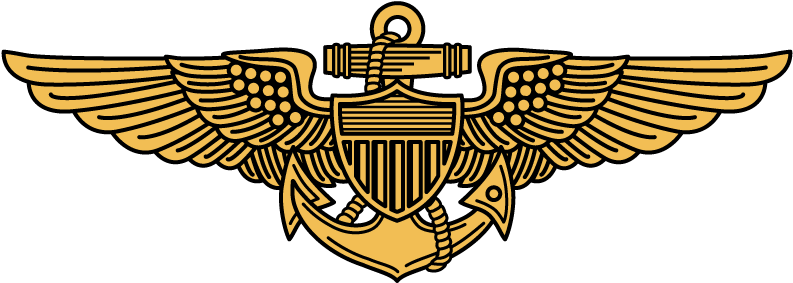 Pilot Wings - Colored - Golden Eagle (800x800), Png Download