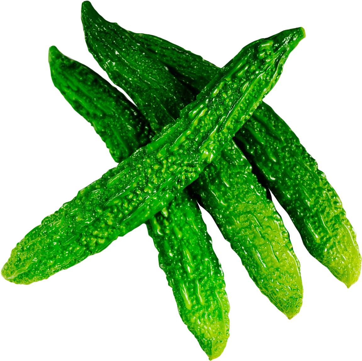 Fresh Bitter Gourd Png Image - Bitter Gourd Images Png (1283x1211), Png Download