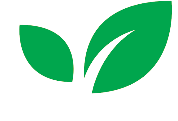Fresh Arrival White - Graphics (1000x880), Png Download