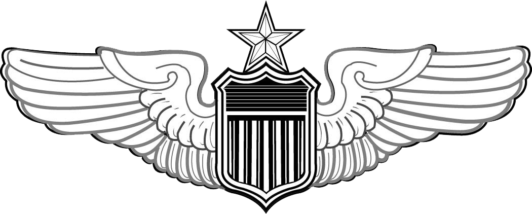 Air Force Pilot Wings PNG