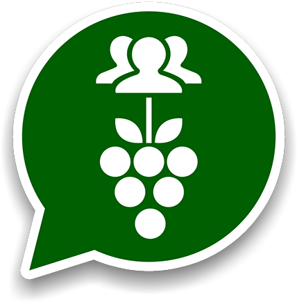 Facebook Live & About Us - Grape (446x455), Png Download