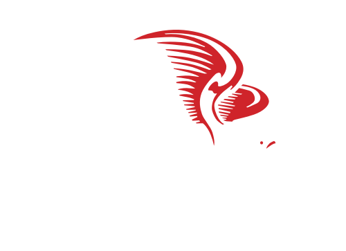 Gwynedd Mercy University Basketball - Mayfield Wildcats (500x363), Png Download