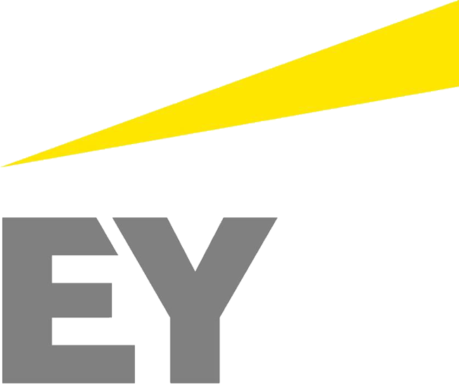 Download Written By Wouter Ernst Young Png Full Size Png Image Pngkit