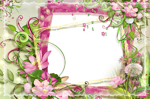 Molduras Com Fundo Colorido - Pink And Green Photo Frame (500x330), Png Download