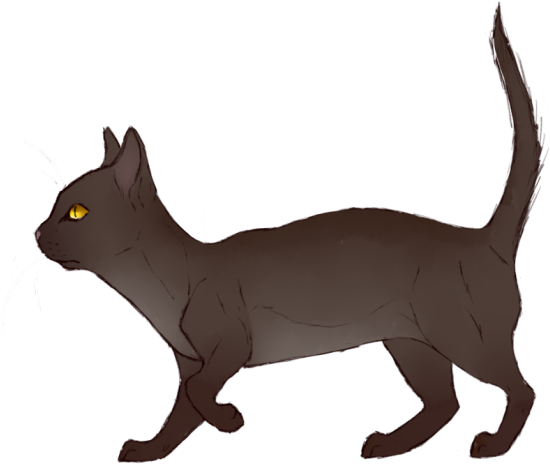 Rattle - Domestic Short-haired Cat (632x485), Png Download