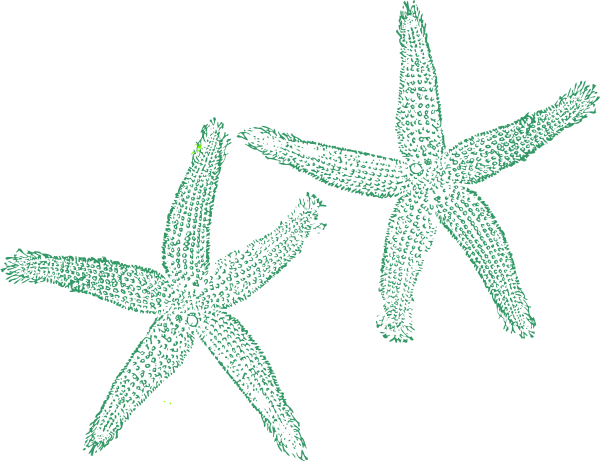 How To Set Use Green Starfish Icon Png - Private Listing For Tami 1 Pair Custom Bridal Flip (600x461), Png Download