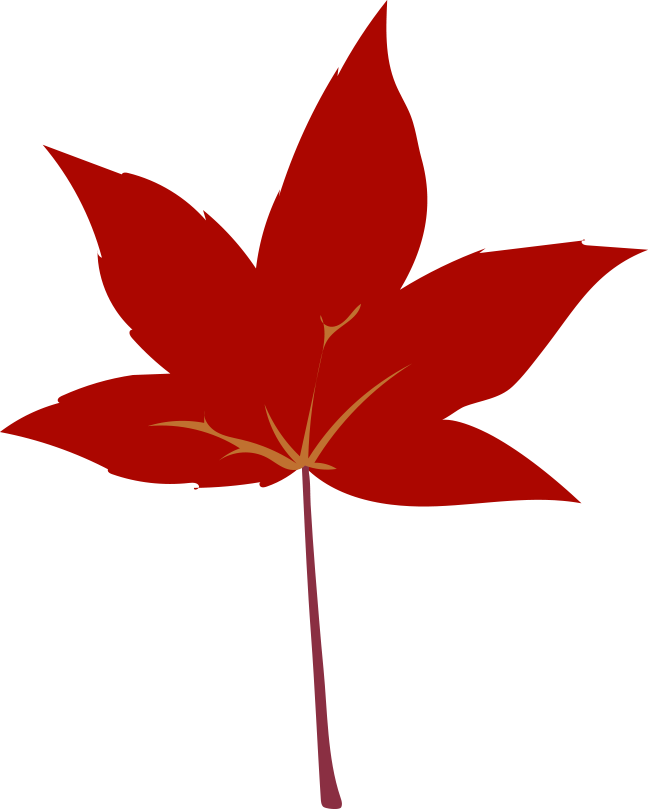 Fullscreen - Maple Leaf (648x809), Png Download